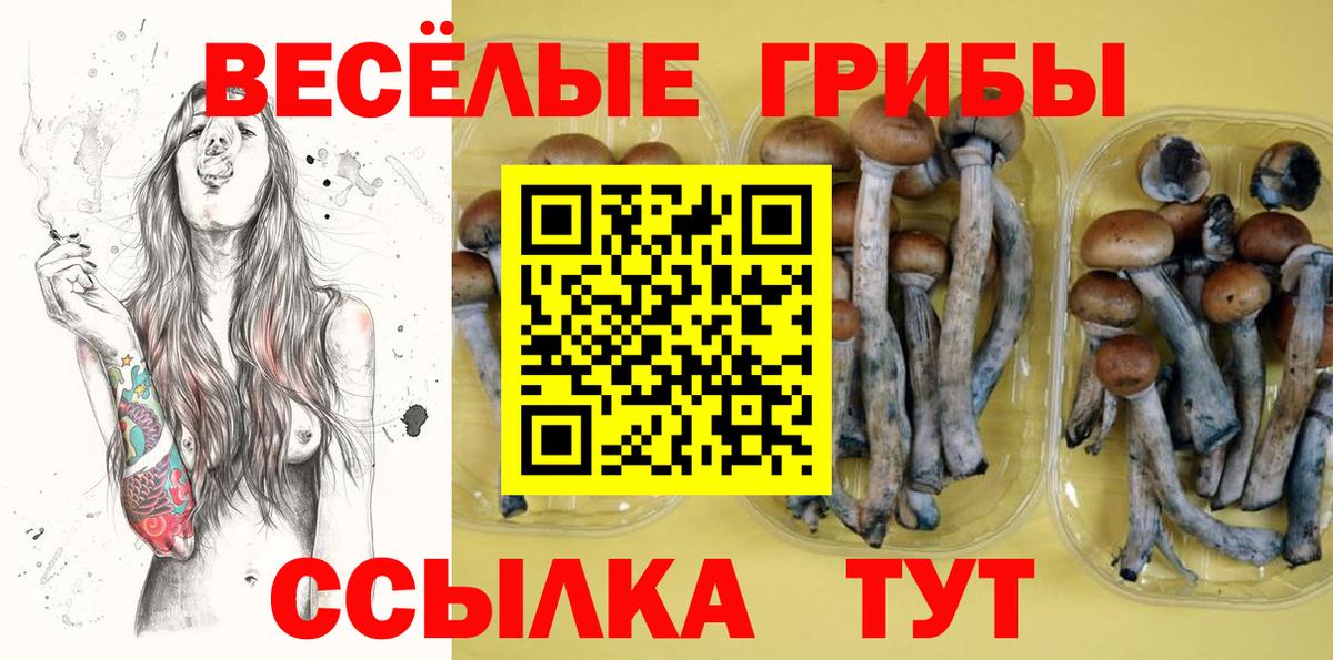 Псилоцибиновые грибы мухоморы Сунжа