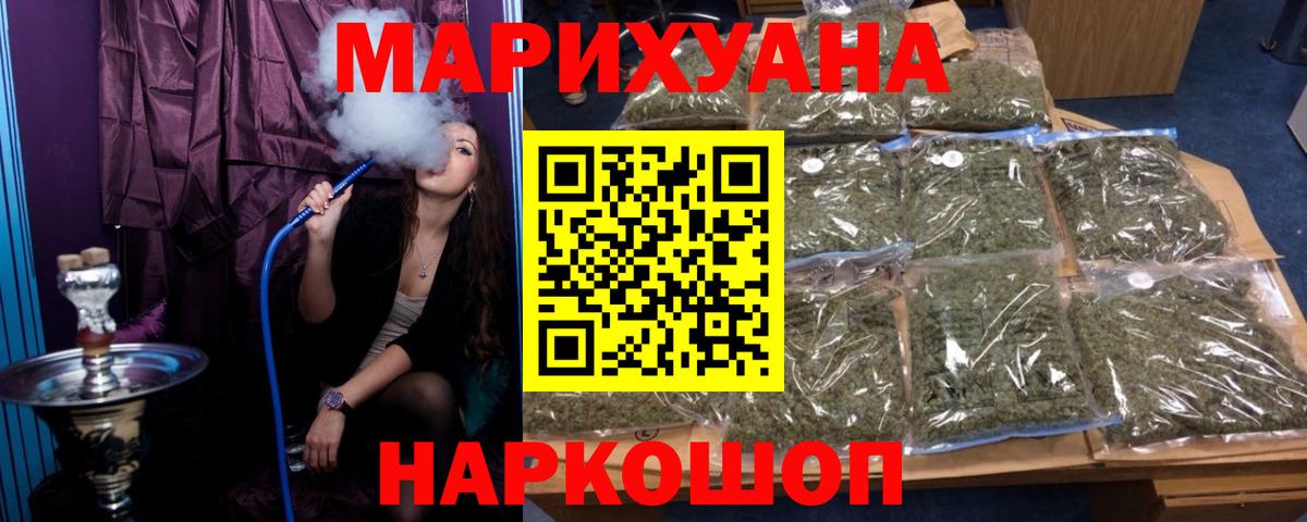 Каннабис SATIVA & INDICA Сунжа
